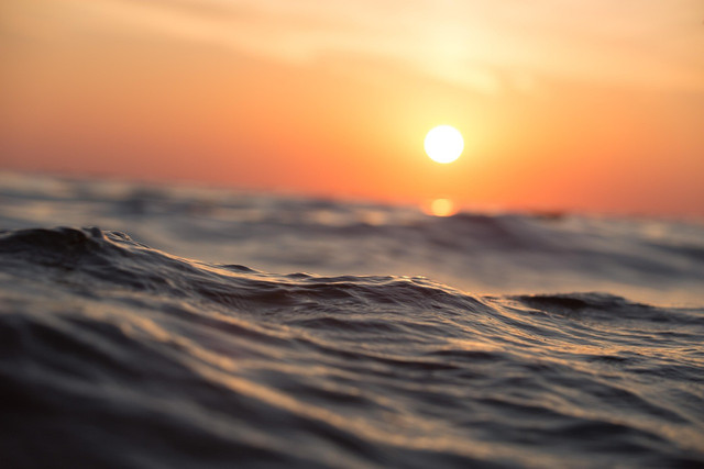 Image by Pexels from Pixabay