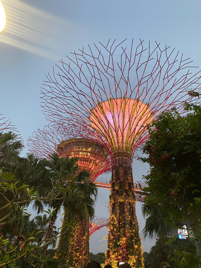 Perpaduan cahaya dan musik Garden Rhapsody menghadirkan pengalaman menikmati keindahan malam di Gardens by the Bay, Singapura.