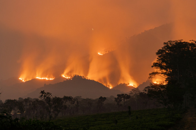 Api membakar vegetasi di kawasan Gunung Arjuno, Lawang, Kabupaten Malang, Jawa Timur, Selasa (20/10/2026). Foto: ANTARA FOTO/Irfan Sumanjaya