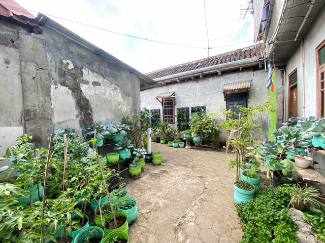 Lorong sayur di Kampung Semaki Gede, Umbulharjo, Kota Yogyakarta. Foto: Pandangan Jogja/Resti Damayanti