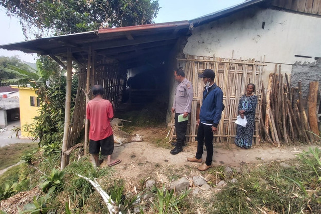 4 Kambing milik warga lereng Gunung Lawu di Dusun Plalar, Desa Tengklik Kecamatan Tawangmangu, Karanganyar mati mendadak, Rabu (21/10/2026). Foto: Dok. Istimewa