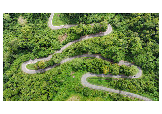 Jalan di hutan Papua Barat yang membuka akses dan mendorong konektivitas antarwilayah. (Foto: Ken Alfian/Pexels, 7 April 2025)