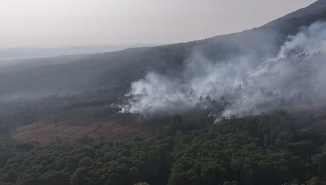 Pantauan udara kebakaran hutan dan lahan di Taman Nasional Gunung Ciremai. Foto: Dok. BPBD Jabar