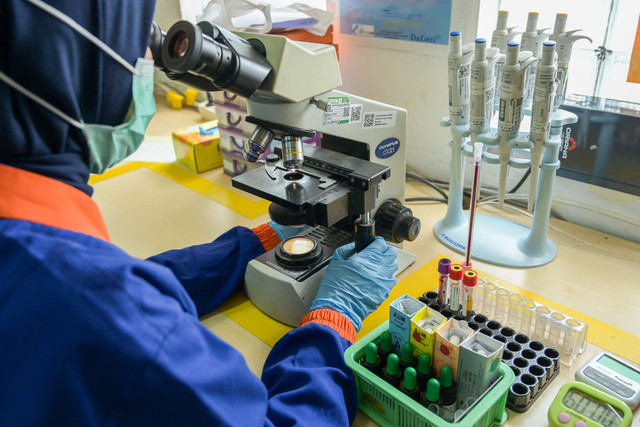 Ilustrasi apa perbedaan antara bioteknologi konvensional dengan bioteknologi modern?,Pexels/Hera Permata