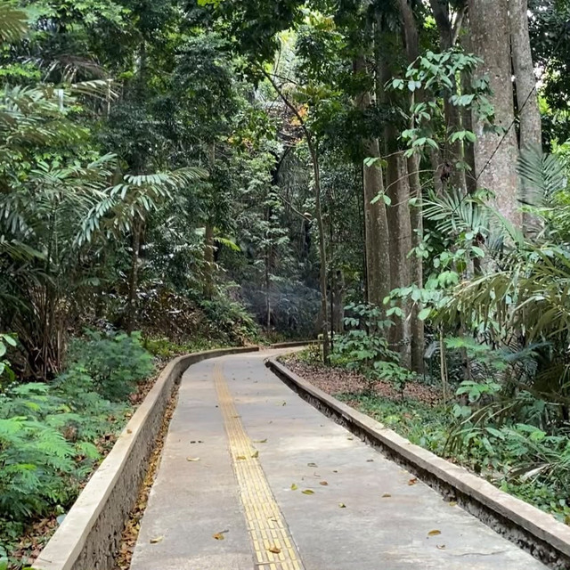 Suasana jalur di Taman Hutan Raya Ir. H. Djuanda, Bandung. Foto: Dokumentasi pribadi