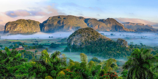 Ilustrasi Sumber daya alam yang tidak dapat diperbarui contohnya. Foto: Unsplash/simon