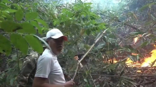 Gubernur Jabar Dedi Mulyadi ikut memadamkan titik api di Taman Nasional Gunung Ciremai (TNGC) (Sumber: Youtube/kangdedichanel)