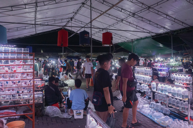 Suasana Malam Hari di Pasar Ikan Jatinegara (Foto: Dian Permana Putra)