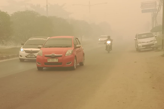 Sejumlah kendaraan melintasi Jalan Protokol RTA Milono, Kota Palangka Raya, Kalimantan Tengah, di tengah kabut asap, Sabtu (24/10/2026). Foto: Dok. Istimewa
