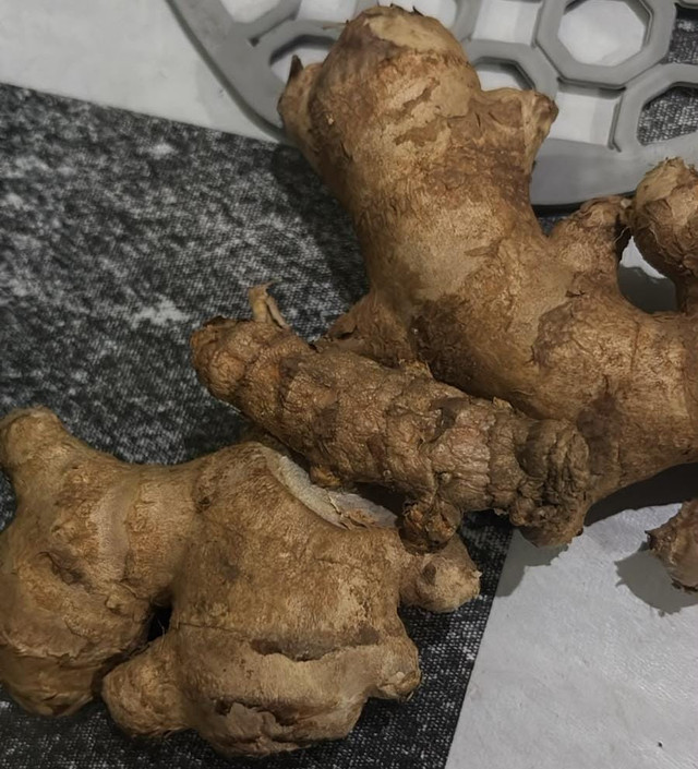 Bahan baku rempah herbal alami (jahe dan kunyit) sebagai fondasi industri jamu tradisional. Sumber Foto: Dok. Pribadi