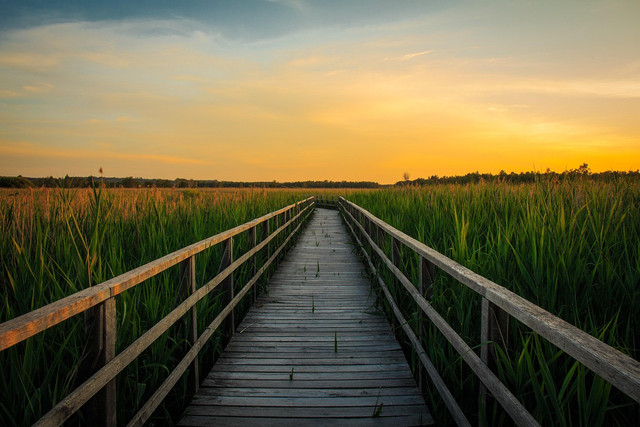Image by Tommy from Pixabay