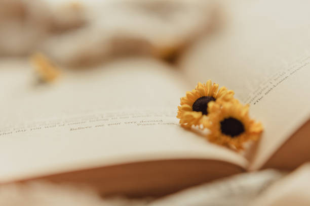 Bunga matahari kecil di atas buku (Sumber: https://www.istockphoto.com)