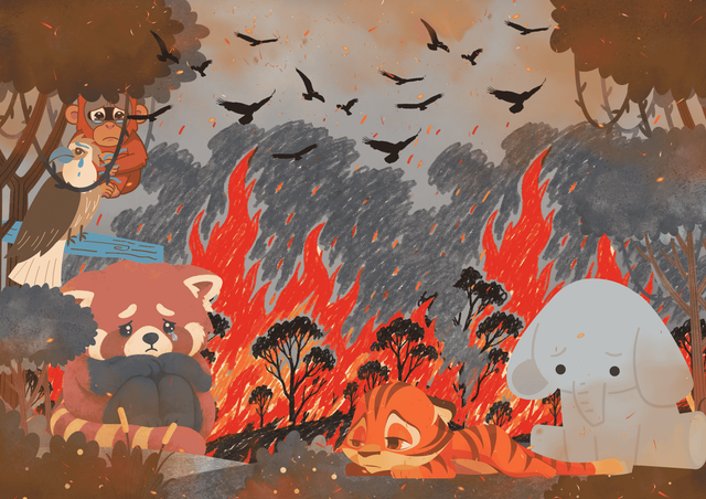 Foto ilustrasi hewan yang terdampak kebakaran hutan dan lahan (dibuat oleh penulis menggunakan Canva)
