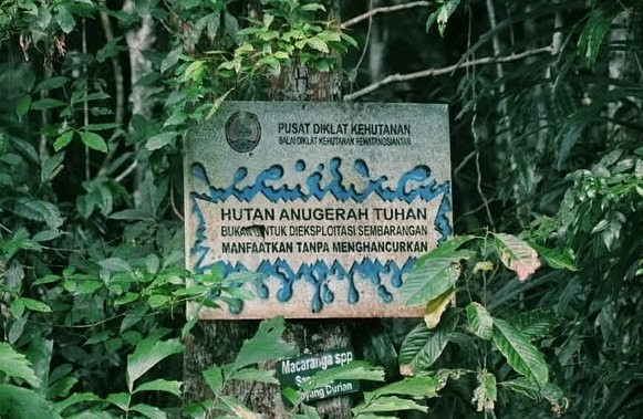 KHDTK Pondok Buluh, Dokumentasi Pribadi