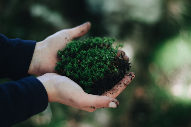 Foto oleh Maël BALLAND. Sumber: pexels.com