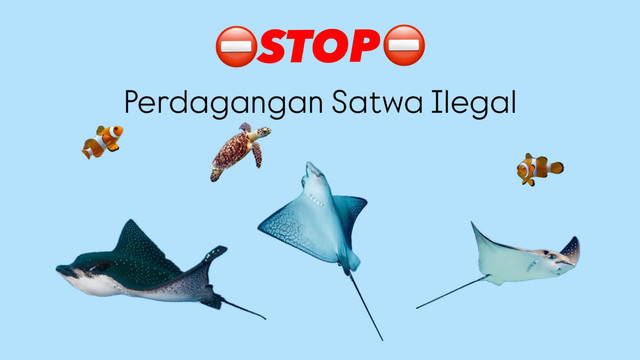 Ilustrasi dibuat oleh penulis menggunakan canva.
