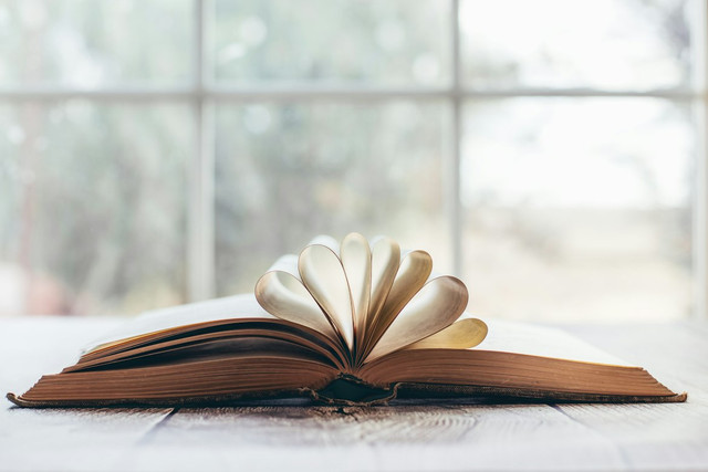 Ilustrasi Sebutkan tiga jenis paragraf berdasarkan letak gagasan utamanya,Foto:Unsplash/ Sixteen Miles Out