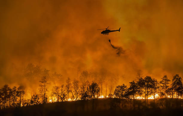 Pemadaman Kebakaran Hutan. Foto: https://www.istockphoto.com/id/foto/helikopter-pemadam-kebakaran-membawa-ember-air-untuk-memadamkan-kebakaran-hutan-gm2016576199-561163272?phrase=kebakaran%20hutan%20lahan&searchscope=image%2Cfilm