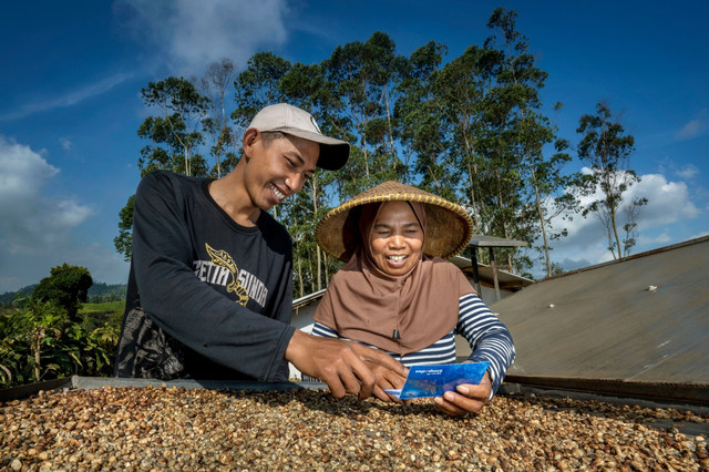 Ilustrasi petani kopi yang berhasil berkembang berkat pembiayaan KUR BRI. Foto: Dok. BRI