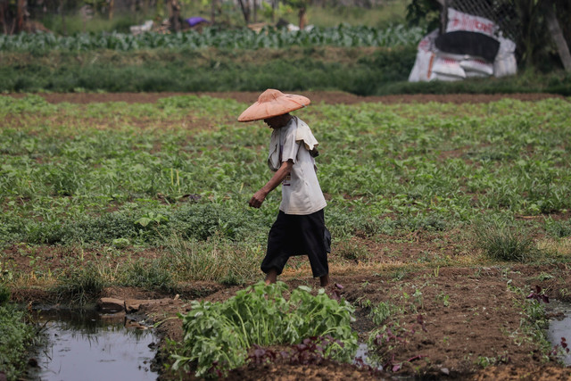 Aktivitas pemulung di TPA Galuga, Cibungbulang, Bogor. Foto: Jamal Ramadhan/kumparan