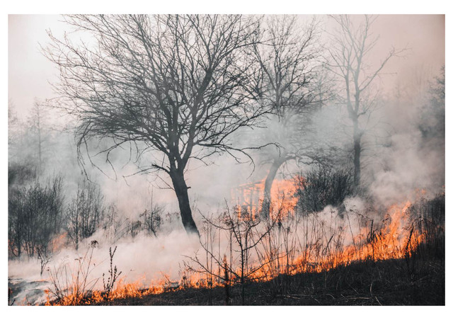 https://www.pexels.com/id-id/foto/fajar-pemandangan-lanskap-lansekap-4070727/