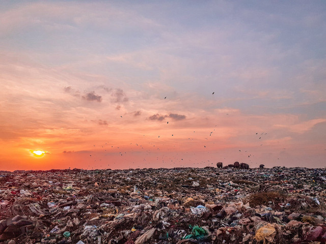 Ilustrasi tumpukan sampah yang mencemari lingkungan dan menjadi pengingat pentingnya mengurangi penggunaan plastik sekali pakai. Foto: Unsplash.