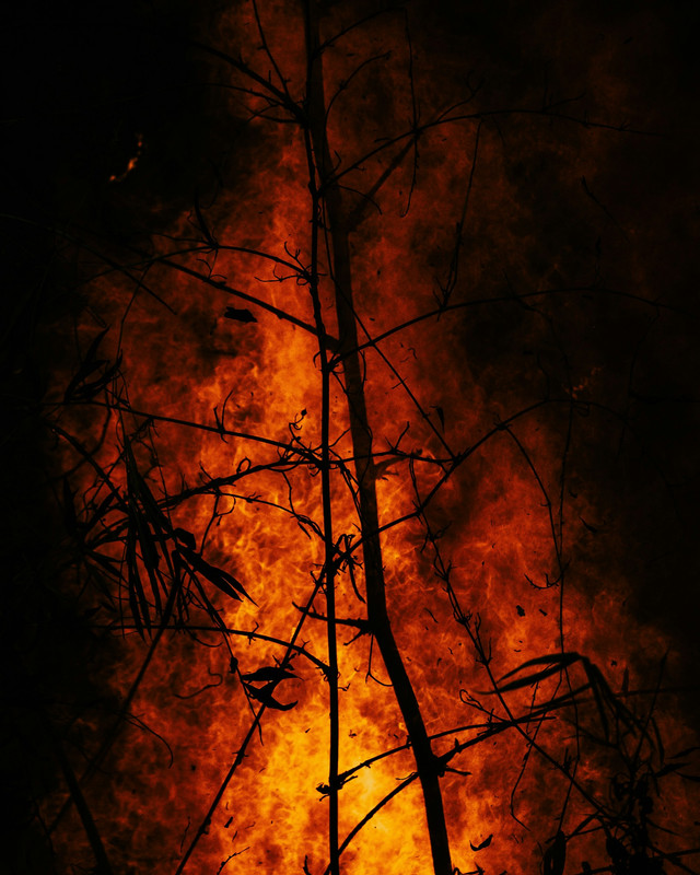 Foto:Benyamin Lizardo https://unsplash.com/id/foto/kayu-bakar-icrhAD-qidc?utm_source=unsplash&utm_medium=referral&utm_content=creditShareLink