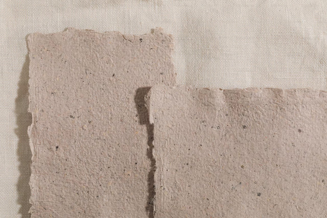 https://unsplash.com/id/foto/close-up-sepotong-semen-Igvtuf4X3N0
