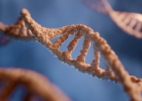 Ilustrasi Pernyataan yang benar terkait dengan jumlah kromosom spermatogonium dan spermatozoa adalah, Foto: Unsplash/digitale.de