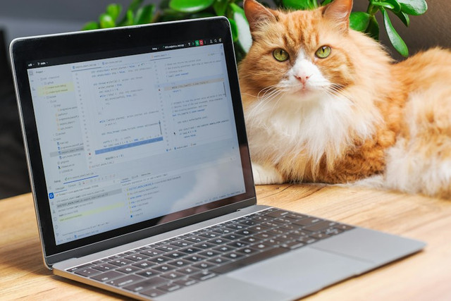 Ilustrasi safe mode Windows 10. Foto: Unsplash