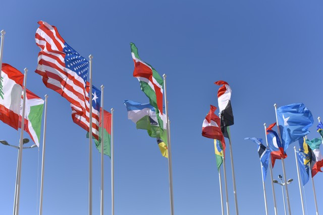 Ilustrasi negara anggota KTT G20. Foto: Lemonvlad/Unsplash