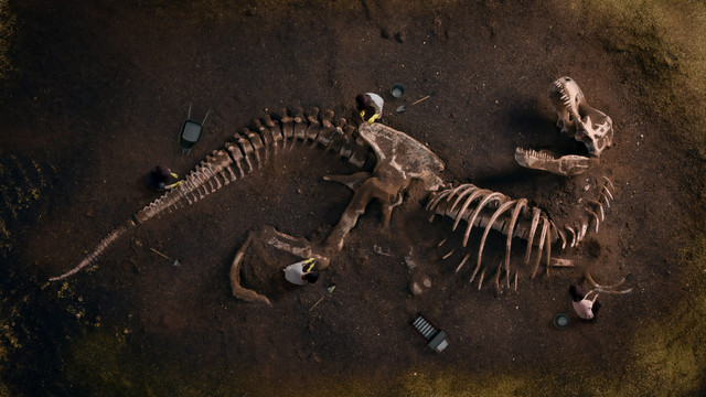Ilustrasi fosil dinosaurus. Foto: Shutterstock