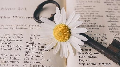 Ilustrasi buku sumber (pixabay.com)