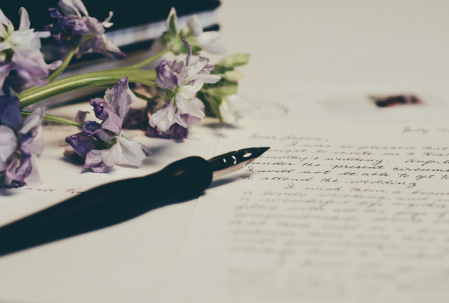 Contoh surat perkenalan diri, Photo by Debby Hudson on Unsplash