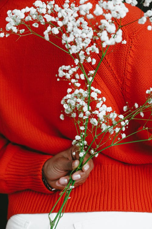 https://www.pexels.com/id-id/foto/Anna Shvet