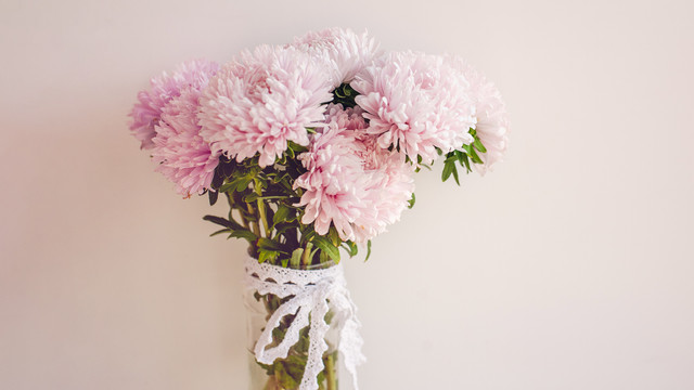 Ilustrasi bunga Valentine. Foto: Lena Dyomina/Shutterstock