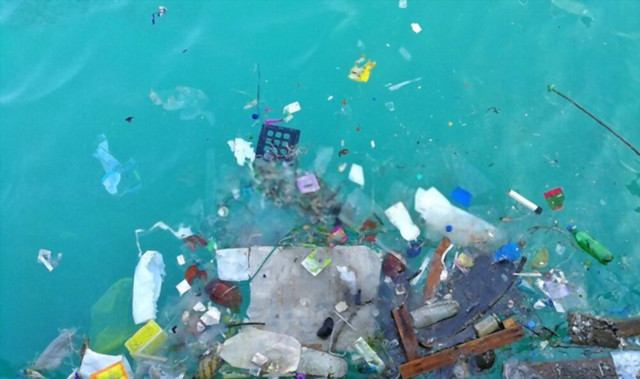 Ilustrasi dari Shuttershock.com