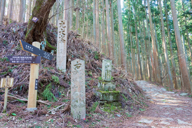Gunung Omine di Jepang. Foto: beibaoke/Shutterstock