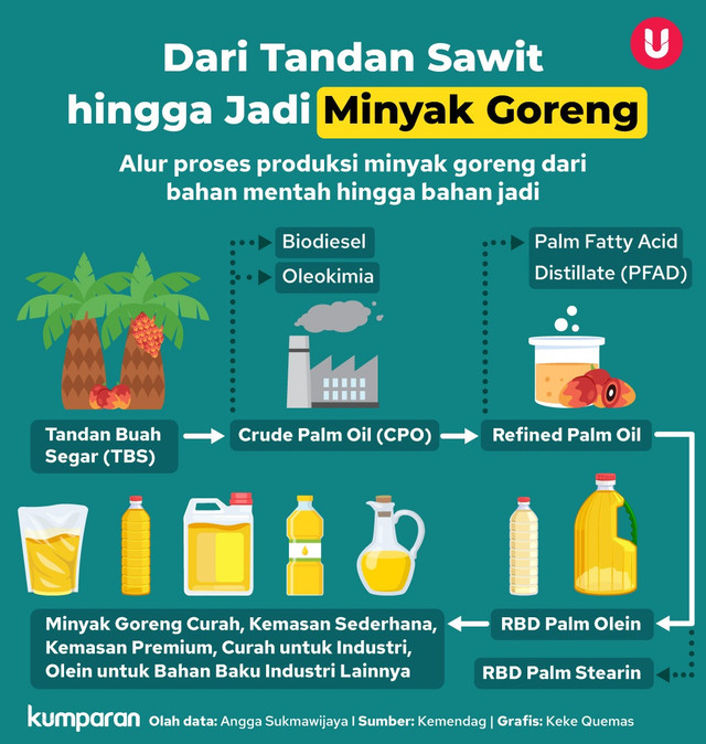 Infografik Dari Tandan Sawit hingga Jadi Minyak Goreng. Foto: kumparan