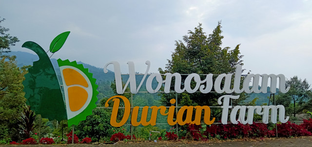 Wonosalam Durian Farm - Dokumentasi Pribadi