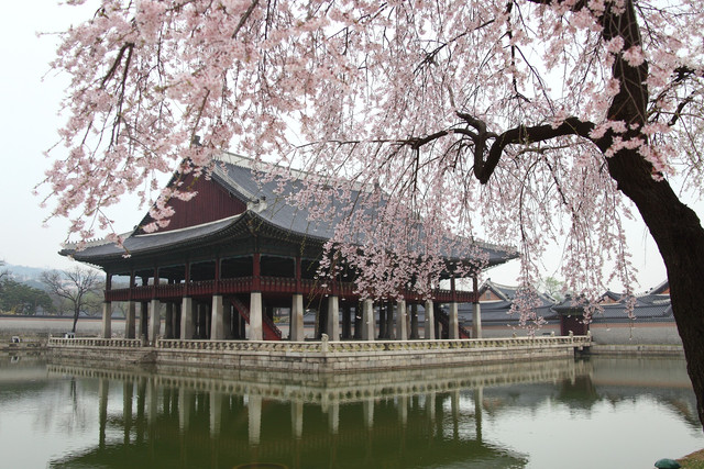 Illustrasi bangunan di Korea Selatan. Foto:Pixabay