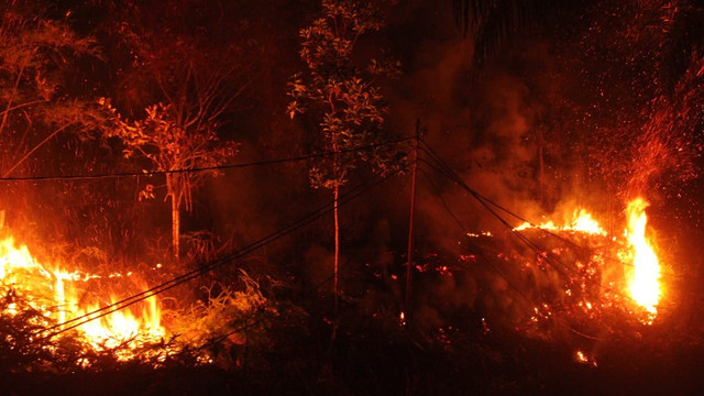Kebakaran lahan warga di Kota Subulussalam. Foto: Yudiansyah/acehkini