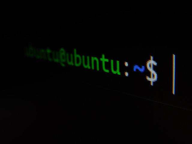 Ilustrasi Perintah Dasar Linux. Foto: Gabriel Heinzer via Unsplash