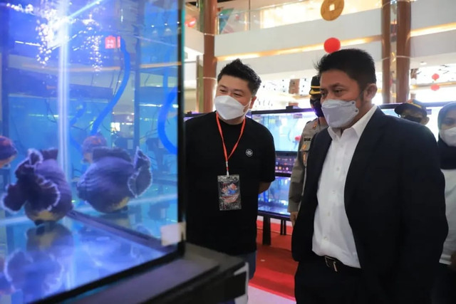 Gubernur Sumsel, Herman Deru, meninjau pelaksanaan Sriwijaya Goldfish Competition 2022. Foto: Istimewa