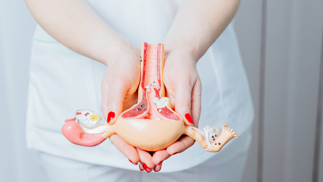 Ilustrasi kanker serviks. Foto: Iryna Inshyna/Shutterstock