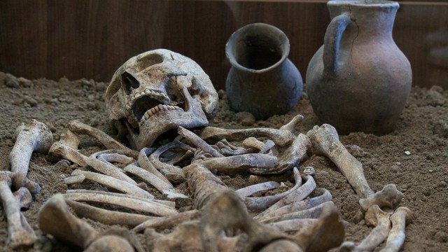 lustrasi tengkorak. Foto: Shutterstock