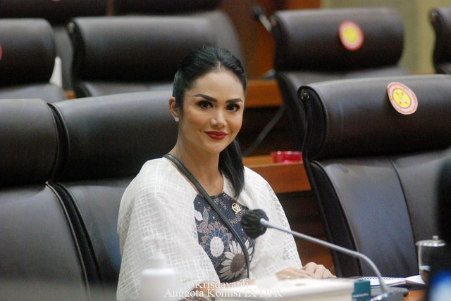Anggota Komisi IX DPR Fraksi PDIP, Krisdayanti. Foto: Dok. Pribadi