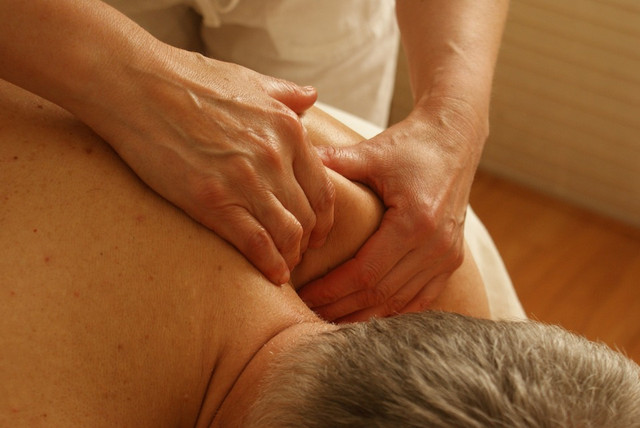 Tulang lengan atas sering disbeut juga dengan tulang humerus. Foto: Pixabay