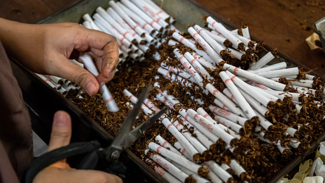 Pekerja menyortir rokok Sigaret Kretek Tangan (SKT) di pabrik rokok PT Praoe Lajar yang menempati bekas kantor perusahaan listrik swasta Belanda NV Maintz & Co, di kawasan Cagar Budaya Nasional Kota Lama Semarang, Jawa Tengah, Kamis (24/2/2022). Foto: Aji Styawan/ANTARA FOTO