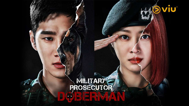 Military Prosecutor Doberman. Foto: VIU